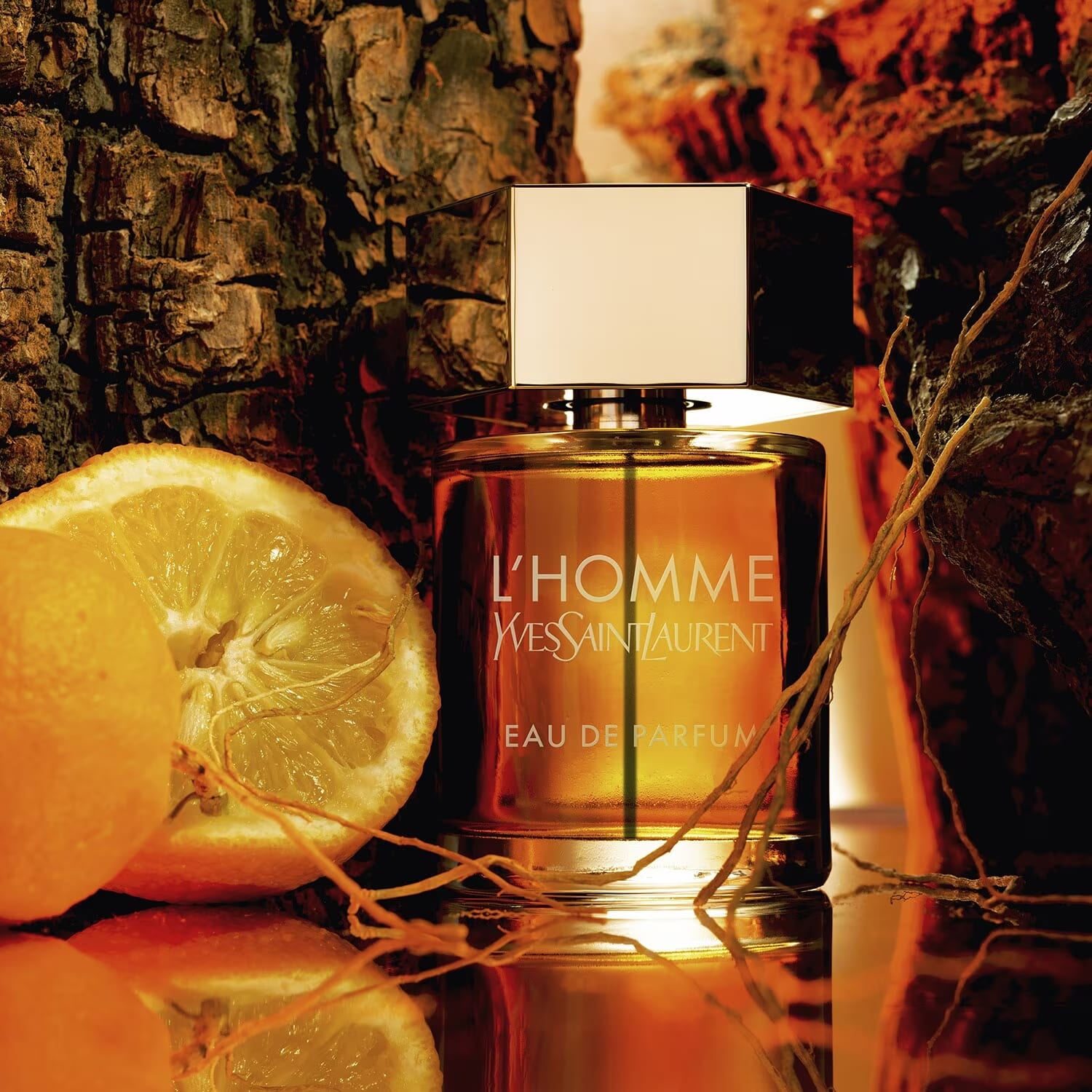 L'Homme EDP